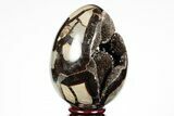 Septarian Dragon Egg Geode - Black Crystals #191493-1